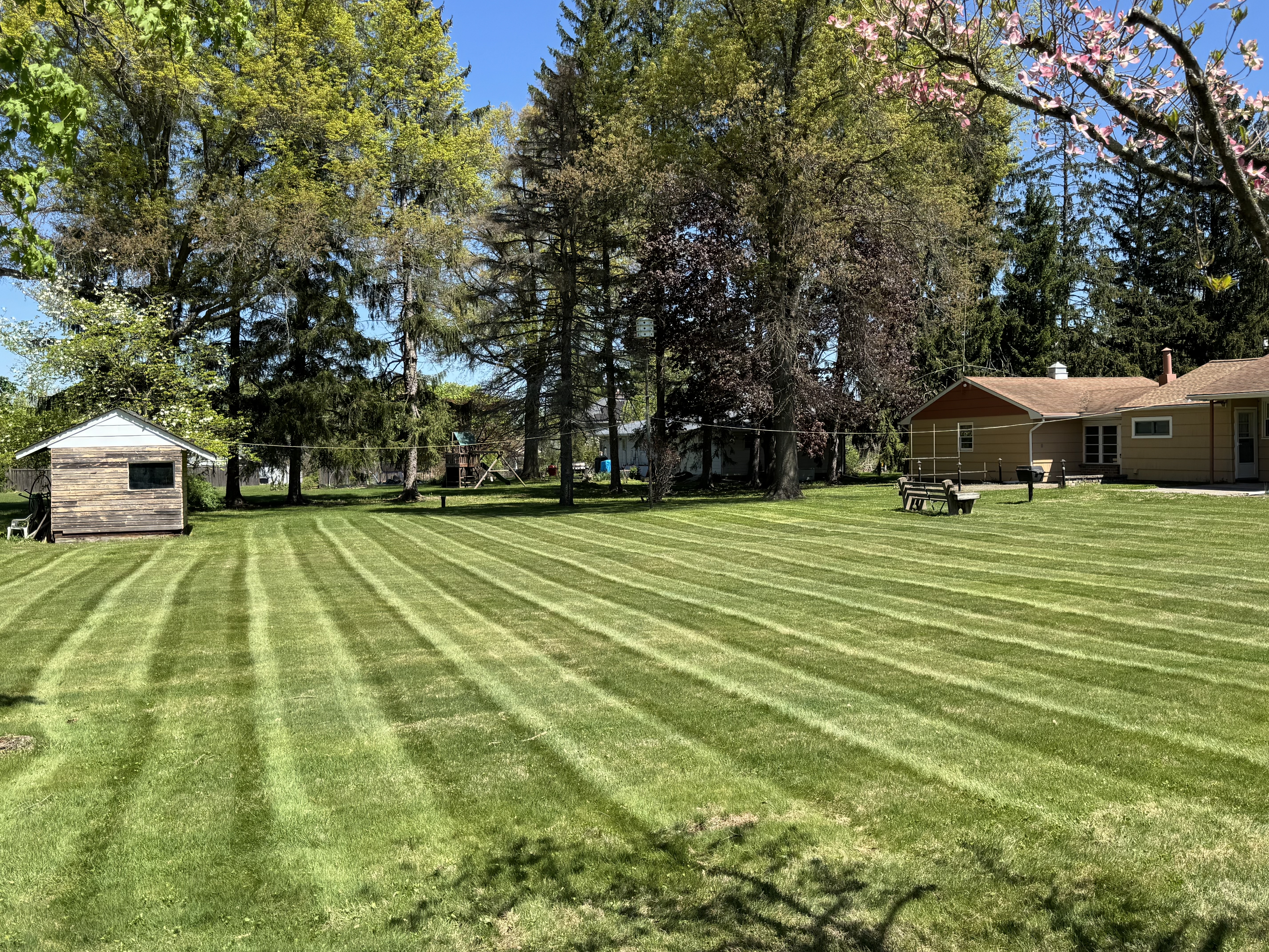 Perfectly striped residential backyard